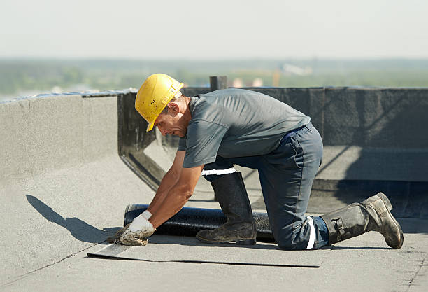 Best Insulation Removal Services  in Springtown, TX