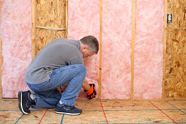 Best Best Insulation Companies  in Springtown, TX