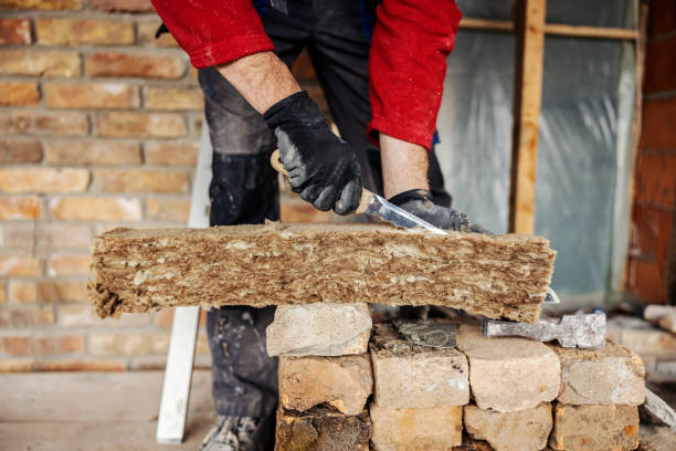 Best Insulation Contractor Near Me  in Springtown, TX